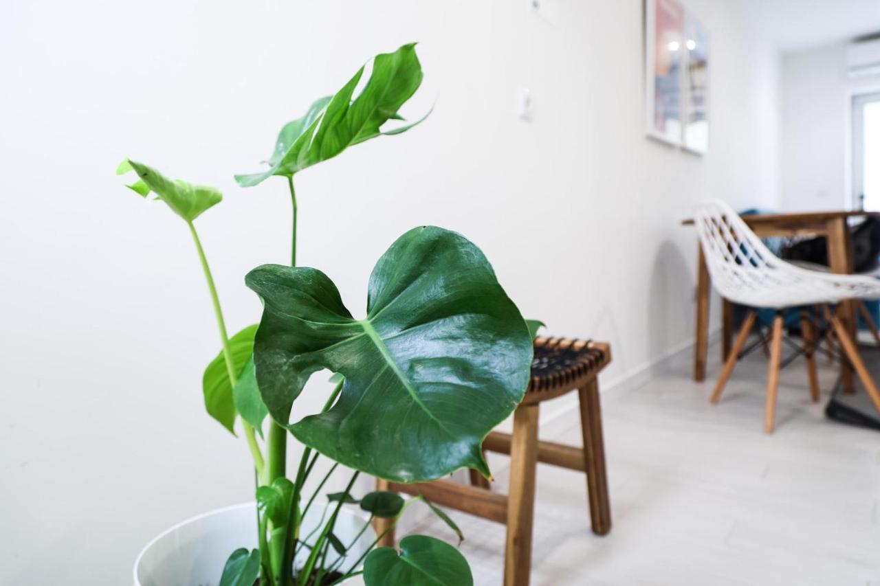 Casa Da Candida One Place, Many Things Nazare Ngoại thất bức ảnh